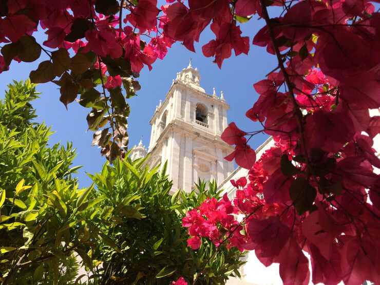 Картинки Все ли видят своих демонов ?