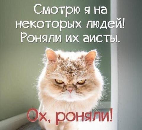 Фото Госдума отклонила законопроекты КПРФ и ЛДПР