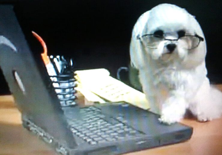 Картинки про Моська за компьютером