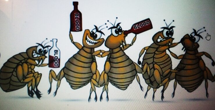 Фото Бедняжка