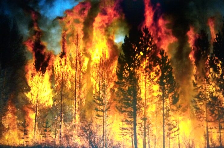 Картинки После пожара