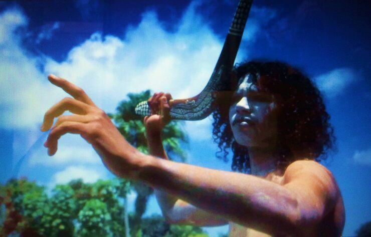 Фото Осколок эволюции