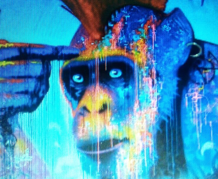 Фото Эволюция