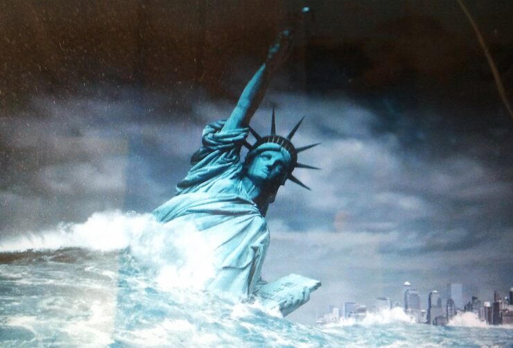 Фото Лягушка