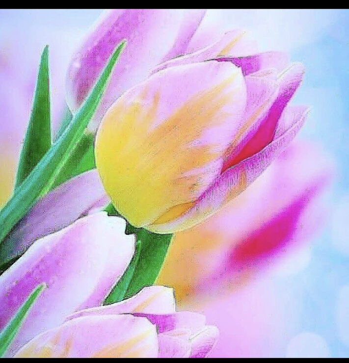 Картинки Шут был вор, он воровал минуты