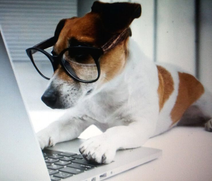 Картинки Моська за компьютером