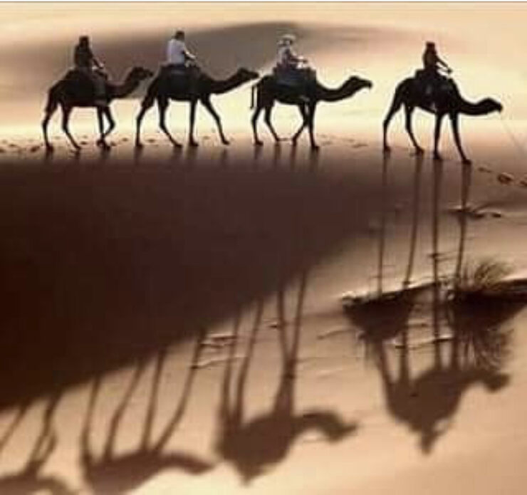 Фото Шут был вор, он воровал минуты