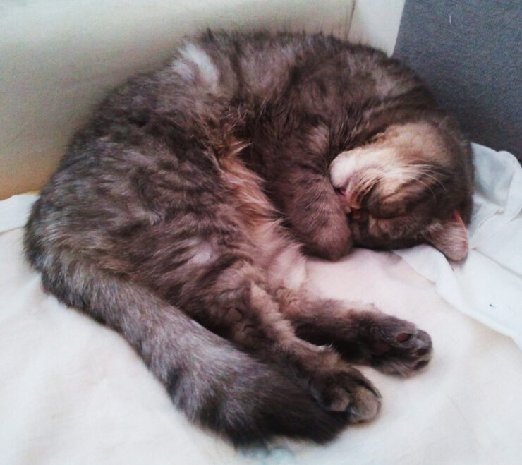 Фото Заработанный отдых