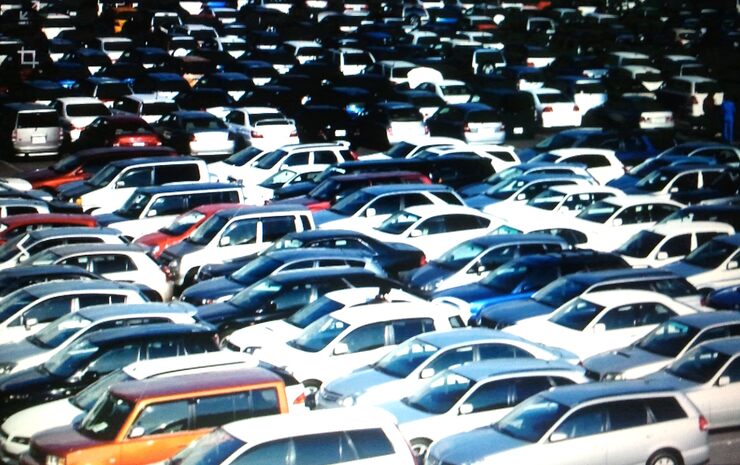 Фото Властелин