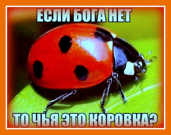 Картинки про Кама с утра, а тантра к вечеру