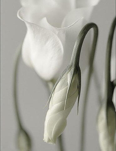 Фото Научиться Любить