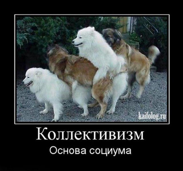 Фото про Революция в умах