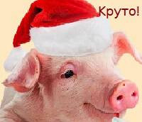 Фото Гламур