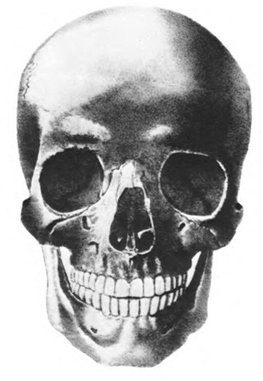 Картинки Красота