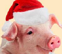 Фото Бог-свиньи