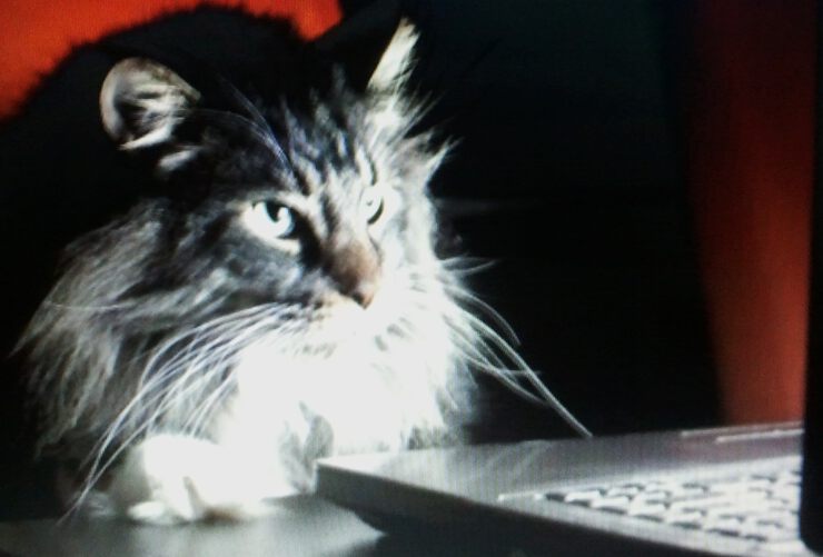 Фото про Главная