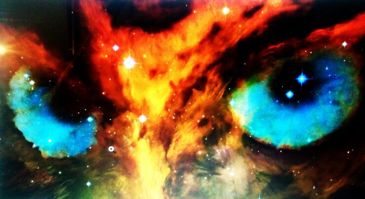 Фото Дело всей жизни