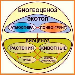 Фото про Душа человека обитает в разных телах