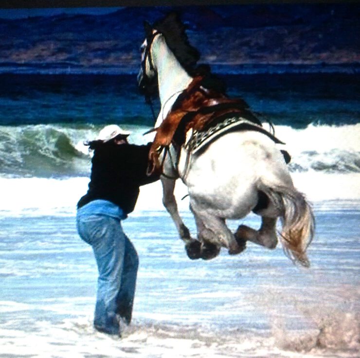 Фото про Трагический эксперимент