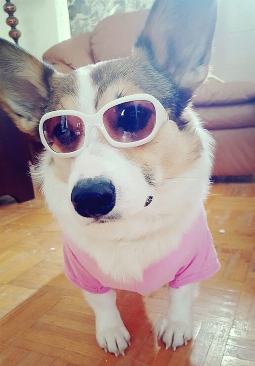 Фото Мистер Г и дом Бога