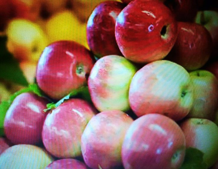 Фото Яблочки