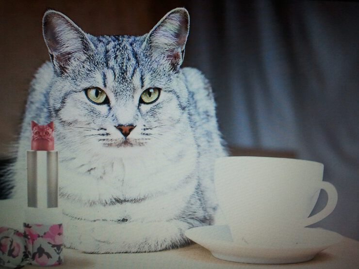 Картинки про Главная