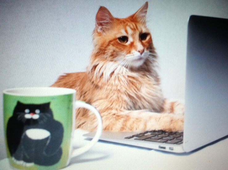 Картинки Главная