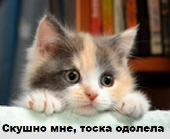 Фото На распутье