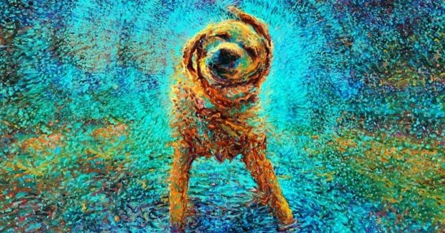 Фото Бесценность знаменитости