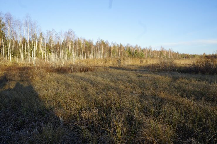 Фото Расскажи что такое счастье