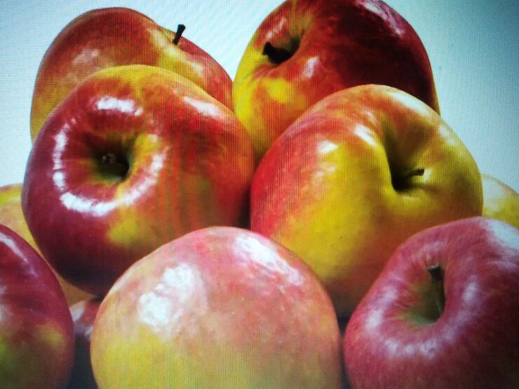 Картинки Яблочки
