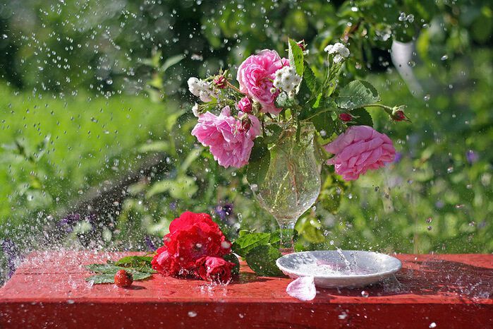 Фото Сон во сне