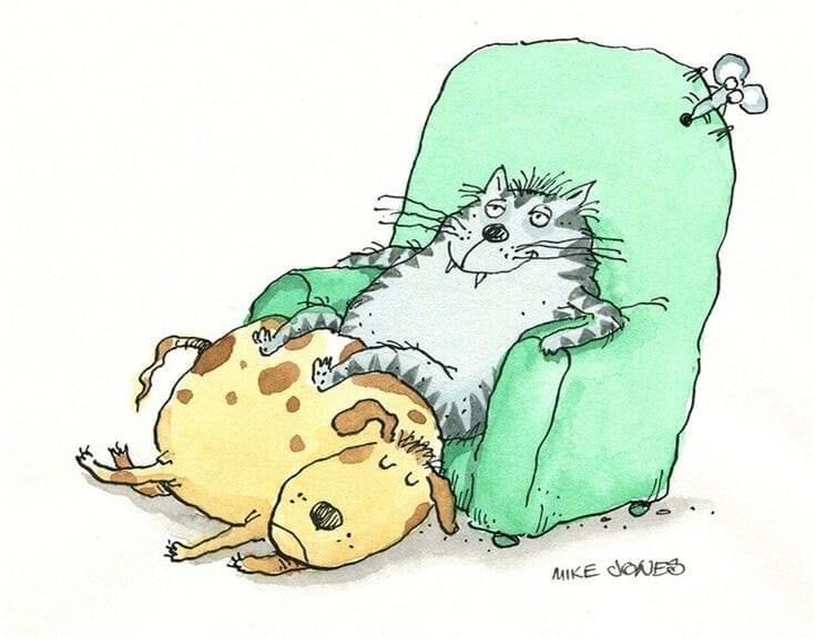 Фото Старость средней тяжести. Александр Ширвиндт