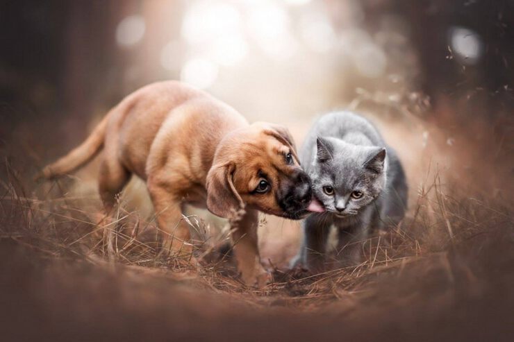 Фото Человеческая энергия