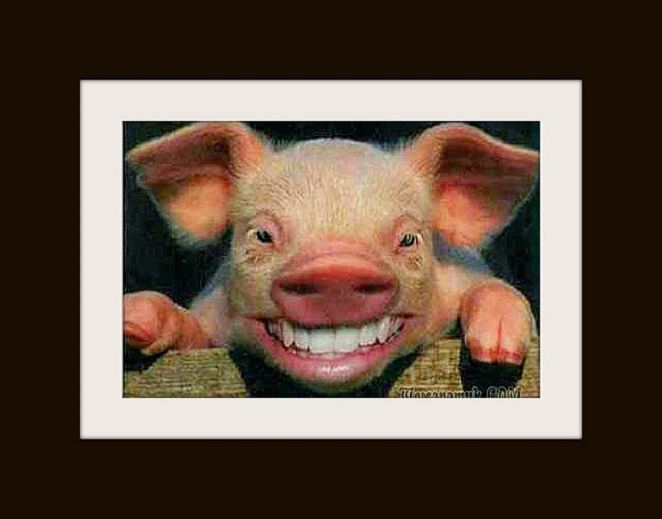 Фото Шаг за украинский горизонт