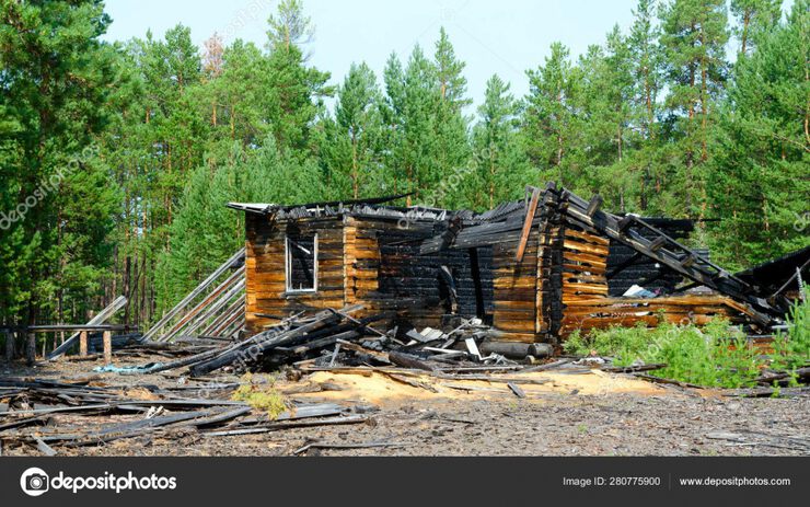 Картинки Жизнь продолжается