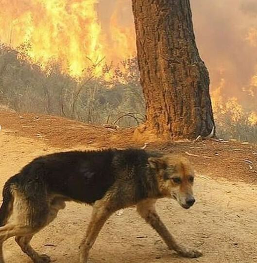 Фото Жизнь продолжается