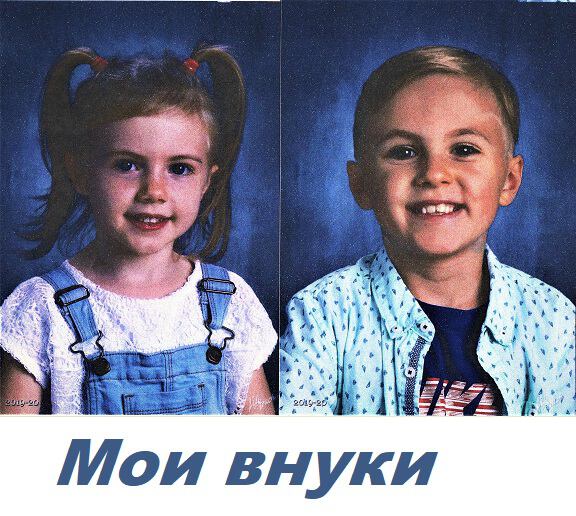 Картинки Информационное логарифмирование