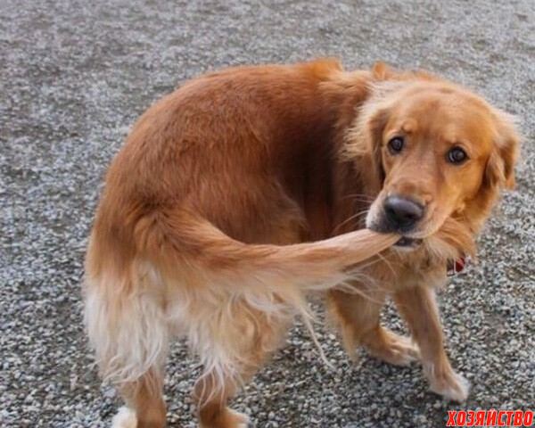 Фото про Где начало, там и конец духовного света