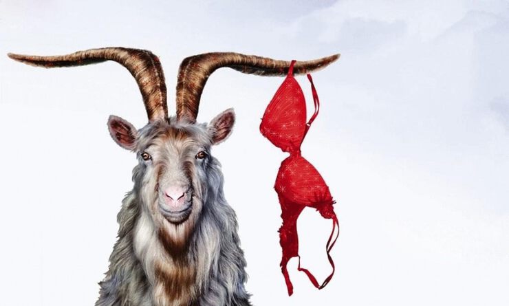 Фото Как аукнется, так и откликнется