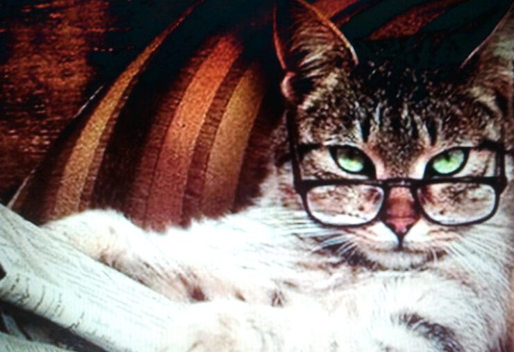 Фото про Главная