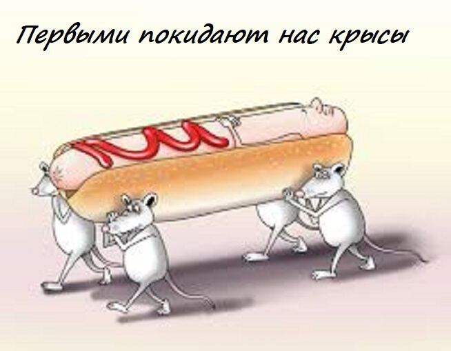 Фото про Если бы, да кабы