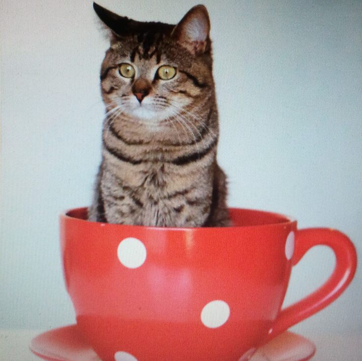 Фото Главная