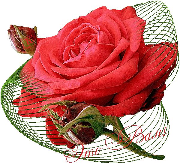 Картинки Я люблю!!!