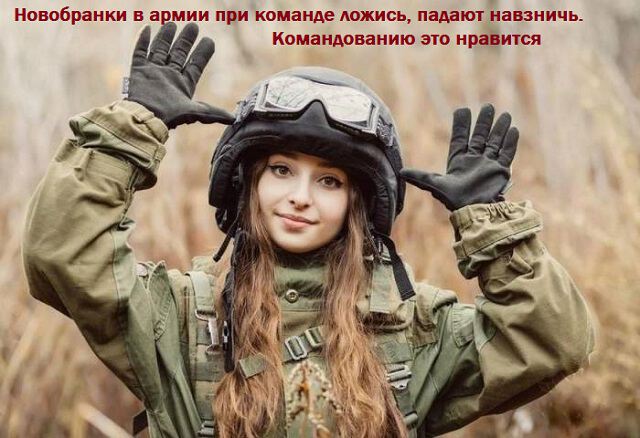 Картинки про Холиварный миросрач о законах