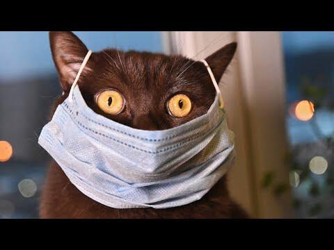 Фото Биоинформационный потенциал