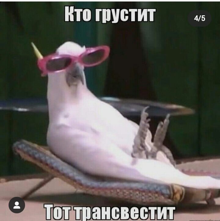 Фото Рецензия на книгу Геннадия Кривецкова Сосланный на планету