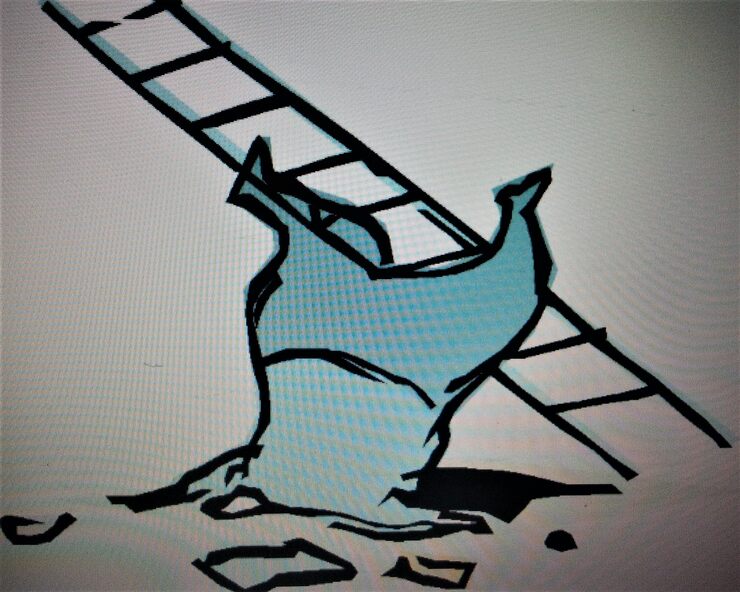 Фото про Высотобоязнь