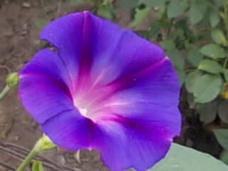 Фото Какая ваша психологическая категория?