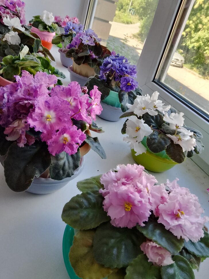 Спуск и подъем